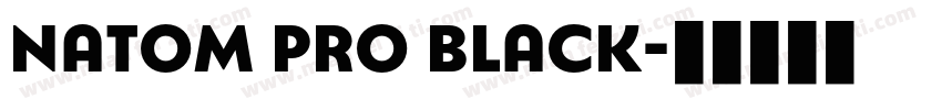 Natom Pro Black字体转换